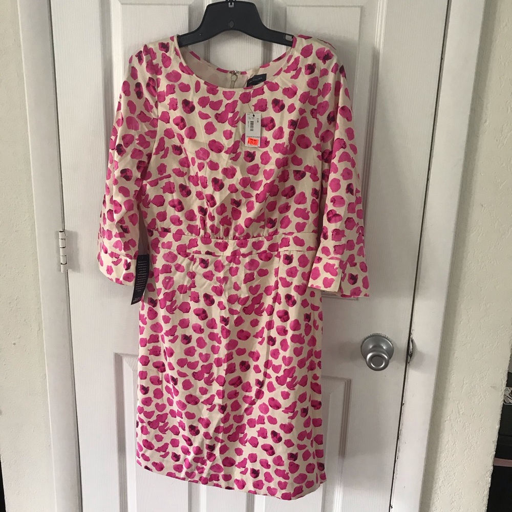 Pink And Cream Dress